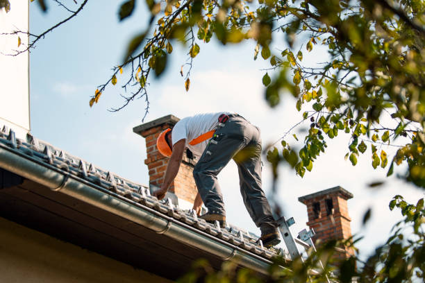 Best Roof Gutter Cleaning  in Batesville, IN